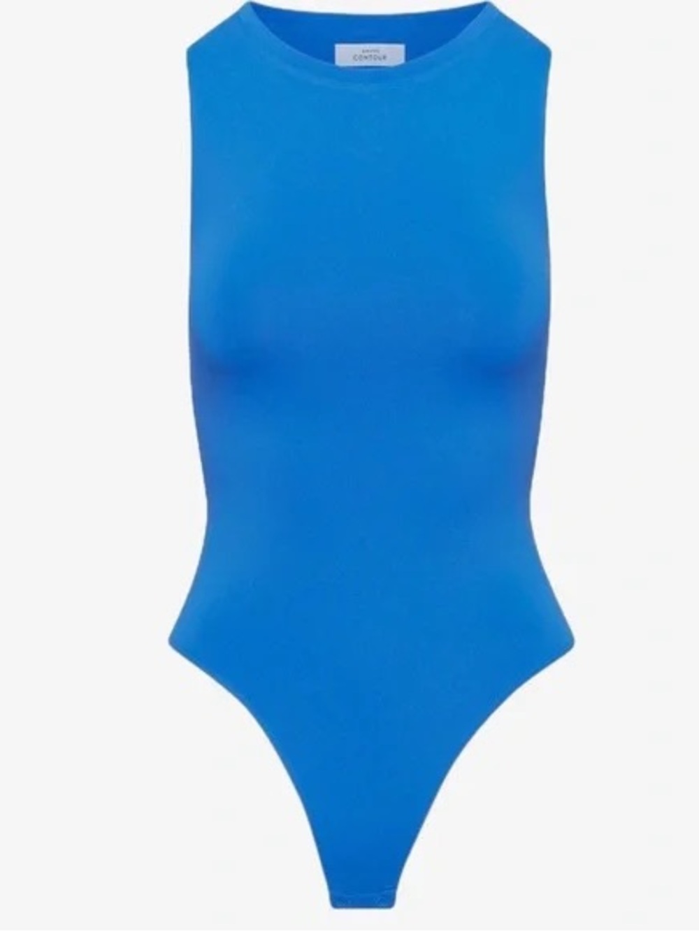 Aritzia Babaton Blue Sleeveless High-Cut Bodysuit